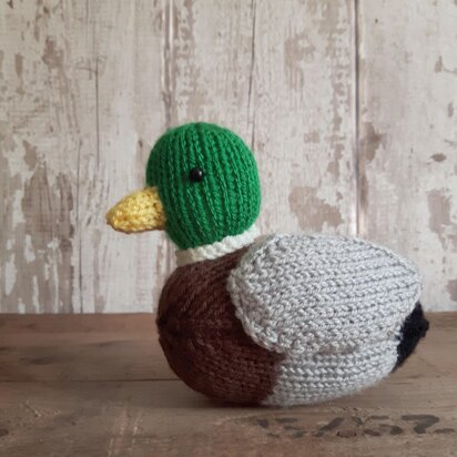 Beneduck Cumberquack the mallard duck