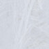 White (204)