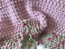 Country Cottage Baby Blanket