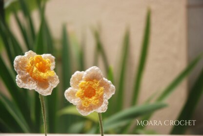 Crochet Daffodil