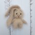 Bunny with long ear