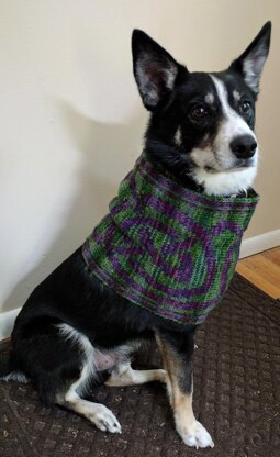 Celtic Knot Border Cowl