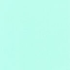 Mint (F019-1234 MINT)