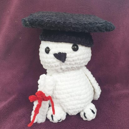 Crochet Graduation owl