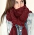 The Trellis Hooded Scarf
