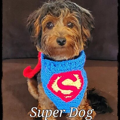 Super Pet Costume