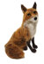 The Crafty Kit Company Fabulous Mr Foxy Needle Felting Kit - 190 x 290 x 94mm