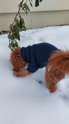 Dog Sweater Charlie No.1