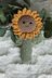 Sunny the sunflower baby rattle