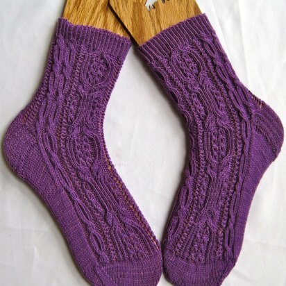 Salisbury Cabled Socks - knitting pattern