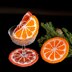 Citrus Fruit Slices Coaster