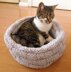 Cat Bed