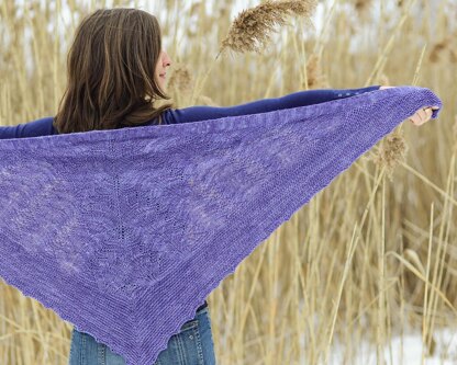 Inglenook Shawl