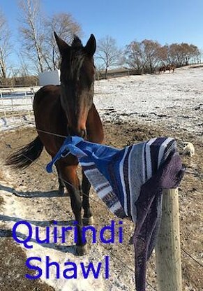 Quirindi Shawl