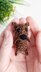 Crochet bear pattern, tiny amigurumi bear, minimum sew crochet pattern