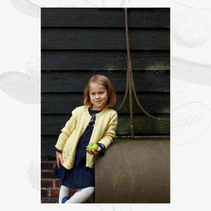 Willow & Lark Alice Cardigan PDF