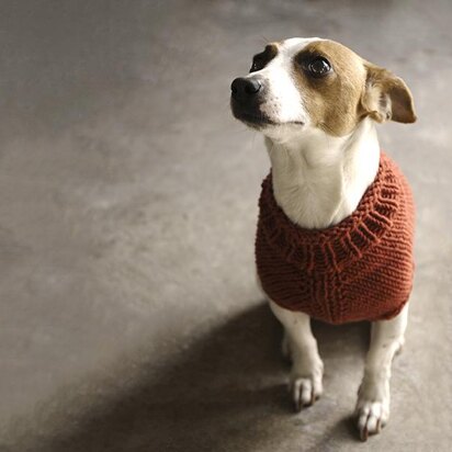 The Juno Jumper - knitting pattern