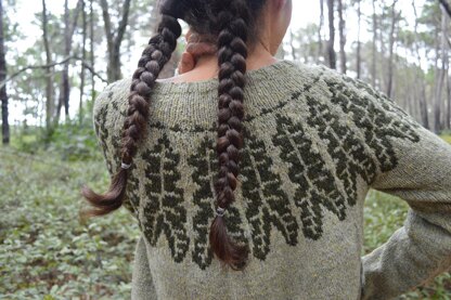 Alocasia Pullover