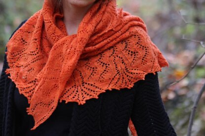 Carrot Cake Shawl