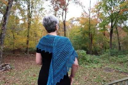 Meshing Around Shawl