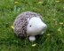Prickles the Hedgehog