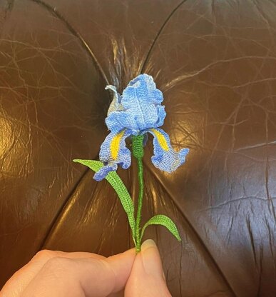 Iris flower