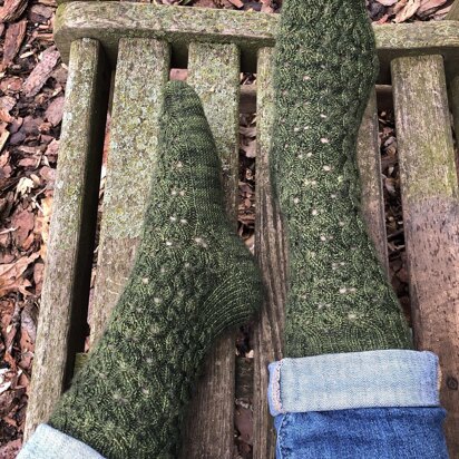 Philodendron Socks