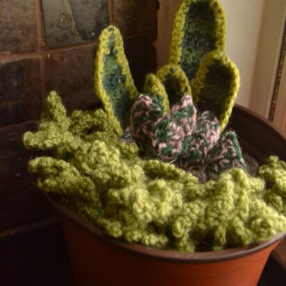 Assorted Crochet Plants