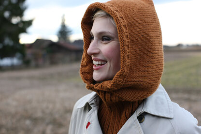 Hooded Cowl in Schachenmayr Northern - 8932