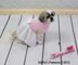 Dog Dress & Jumper Crochet Patterns #66