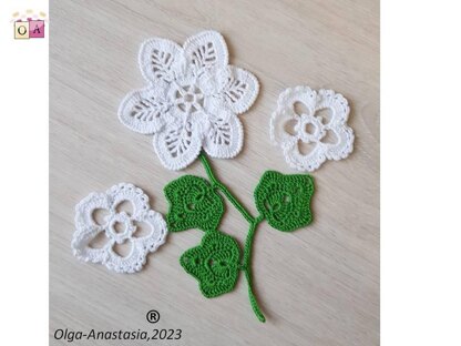 Bouquet branch and white flowers