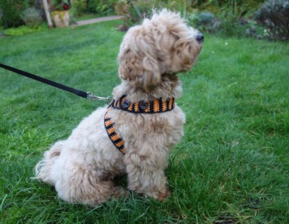 Halloween Dog Harness