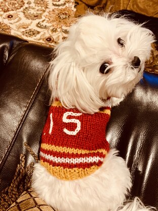 Chiefs Dog Sweater