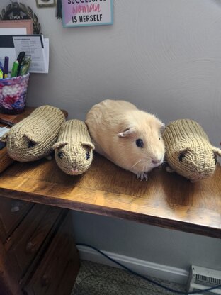 Guinea Pig Plushie