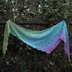 Spring Meadows Shawl