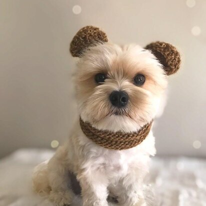 Olive Bear Dog Snood