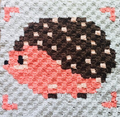 Hedge Hog C2C Crochet Graphgan Square