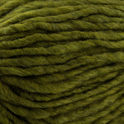 Arctic Poppy (6735)