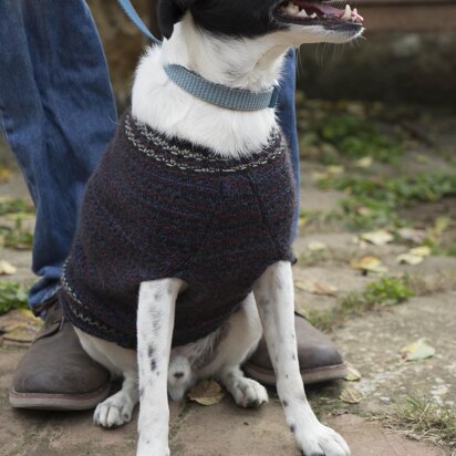 Zampa - knitting pattern