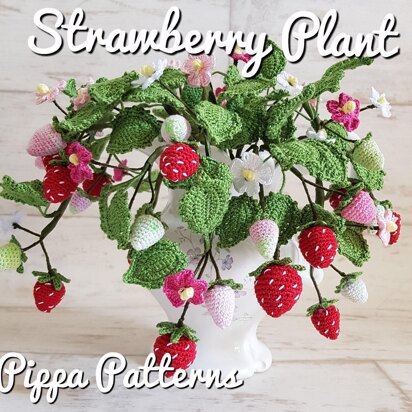 Strawberry Plant