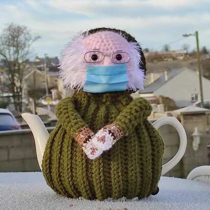 Bernie Sanders Tea Cosy + Bonus