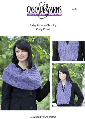 Cozy Cowl in Cascade Baby Alpaca Chunky C227