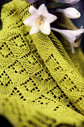 Rosemarie's Garden Shawl