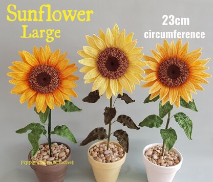 Sunflower Large