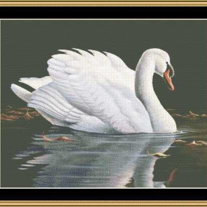 REFLECTIONS - MUTE SWAN