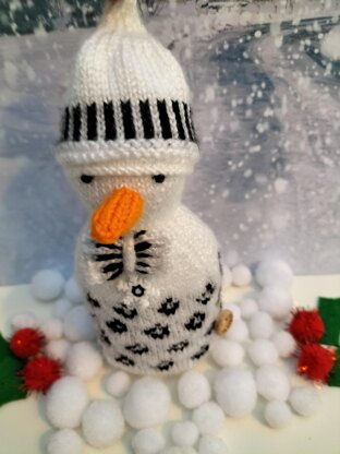 Cool Snowman