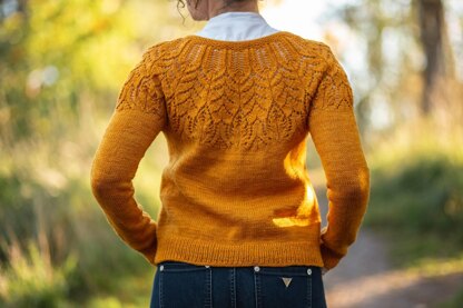 In Between Dreams Cardigan