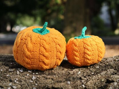 Two Cabled Pumpkins