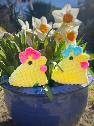 Sally The Spring Chicken