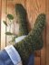 Philodendron Socks